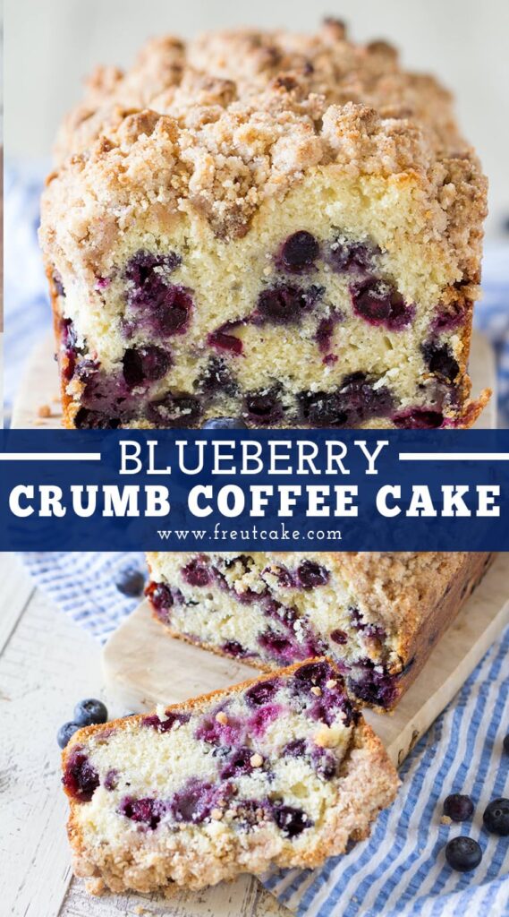 Blueberry Muffin Coffee Cake • Freutcake