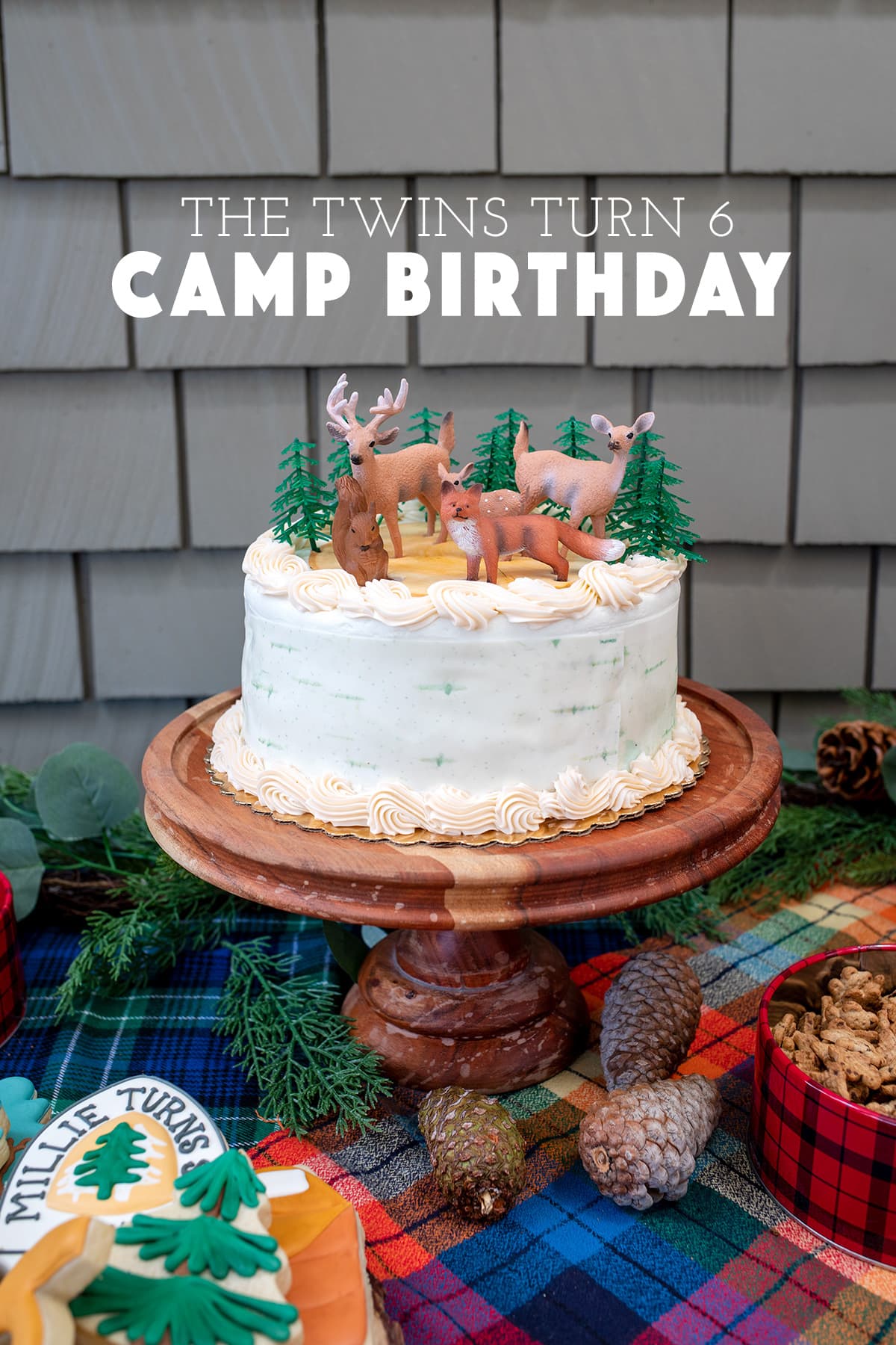 Gone Fishing Themed Birthday Party {Decor, Ideas, Planning